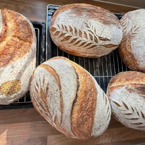 Sourdough Wheat Bread