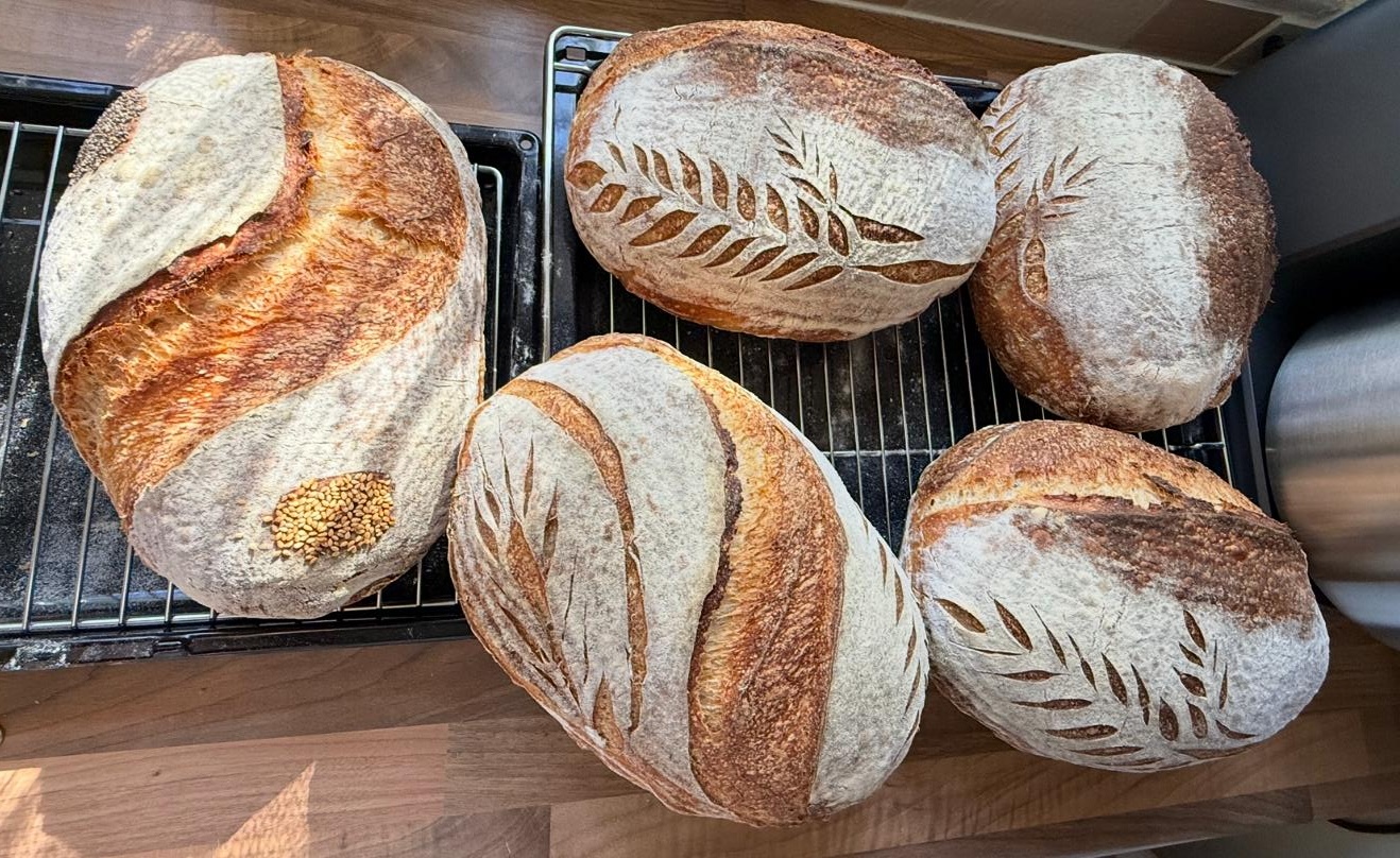 Sourdough Wheat Bread